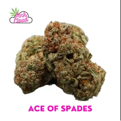 ace of spades