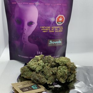astro bag