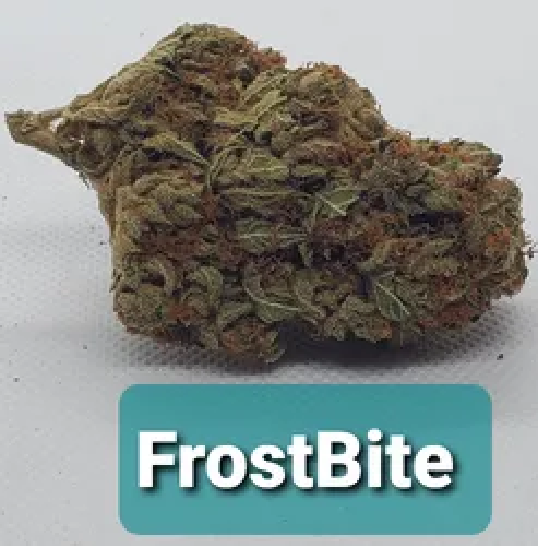 frostbite